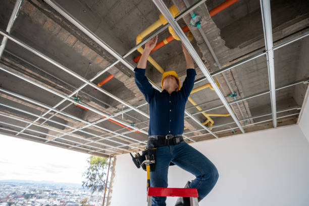 Best Same-Day Plumbing Service  in Delano, MN
