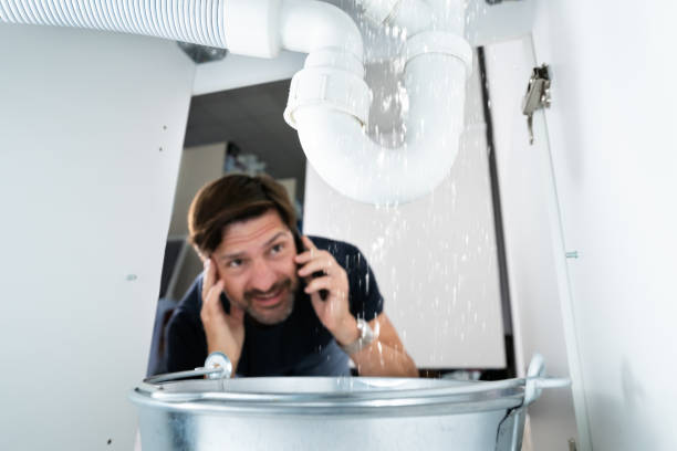 Best Commercial Plumbing Services  in Delano, MN