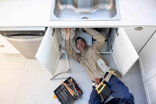 Best Local Plumber Services  in Delano, MN