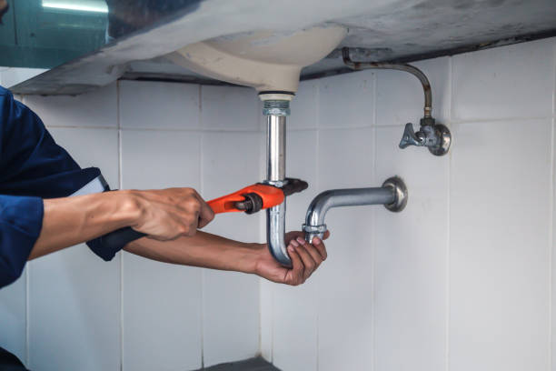 Best Clogged Drain Plumber  in Delano, MN