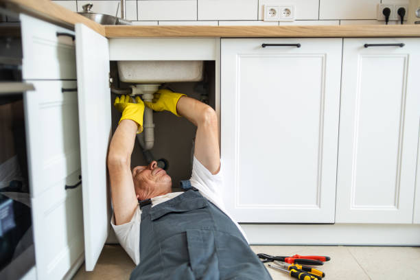 Best Shower Repair Services  in Delano, MN