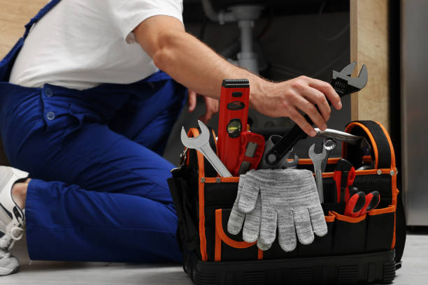 Best Plumbing Services Near Me  in Delano, MN