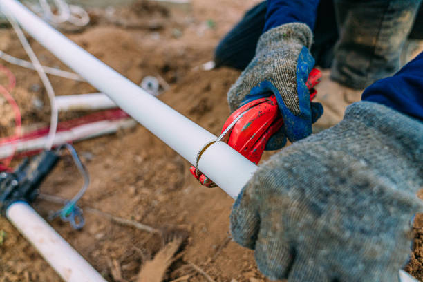 Best Affordable Plumbing Services  in Delano, MN